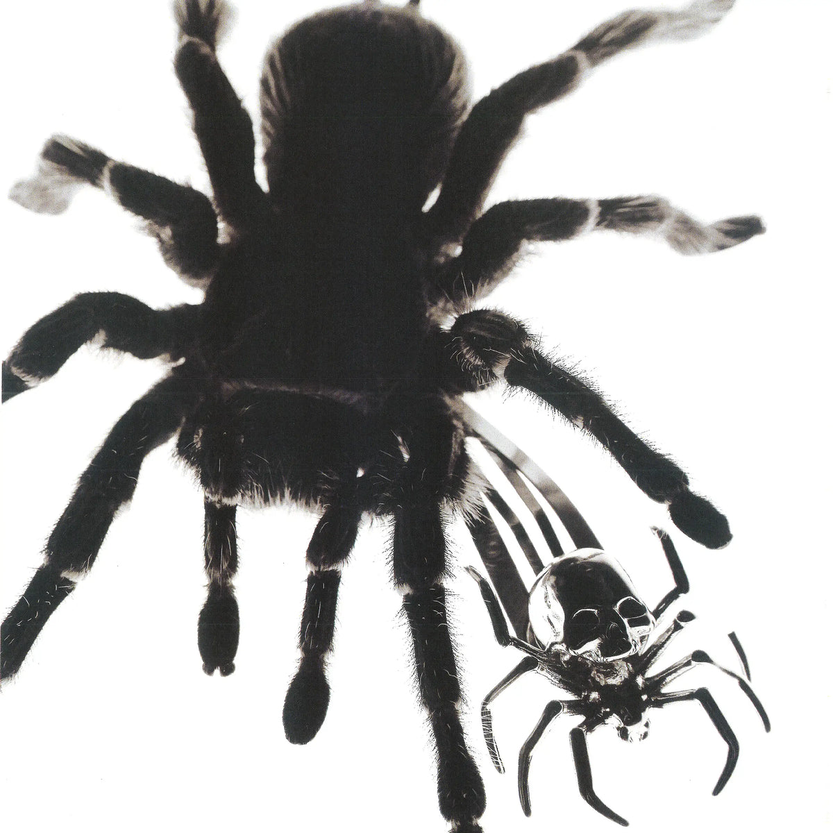SPIDER HAIR CLIP - Hard Jewelry™